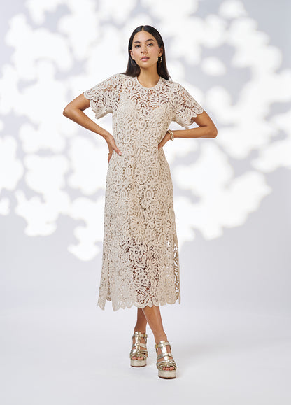 Harlo Midi Dress